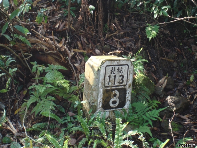 娘胎也能Off Road(東眼山之旅)