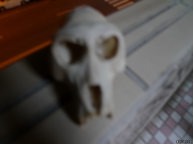 『逸品』獻上頭顱一顆