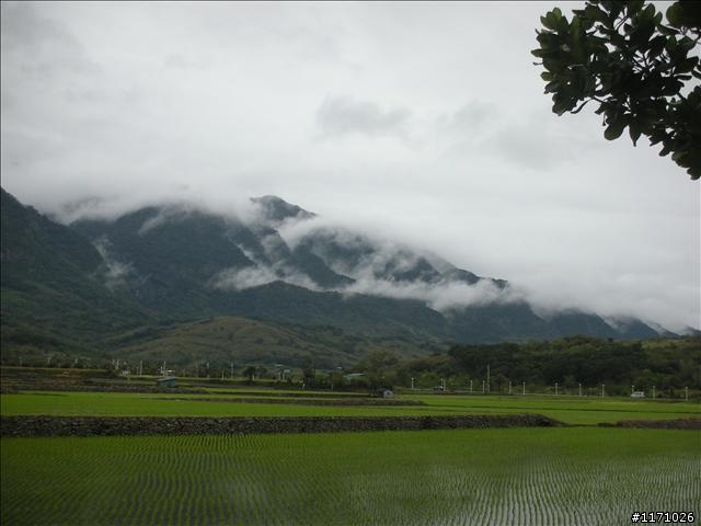 牽手環島千里行