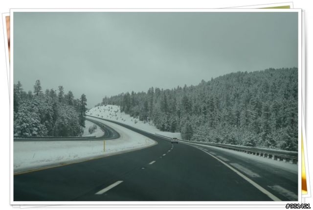 2010春節美西Arizona,Flagstaff,Las Vegas,Sedona大暴走
