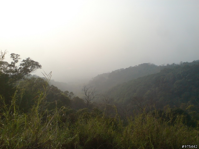 剛剛去探的新路(楠雅村)
