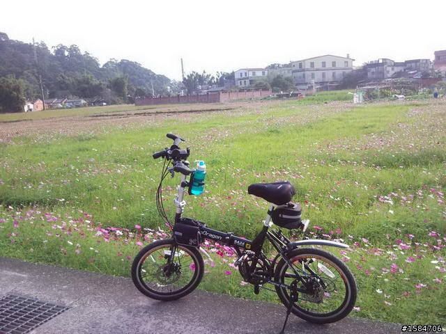 板橋至石門大壩三坑老街阿姆坪自行車之旅
