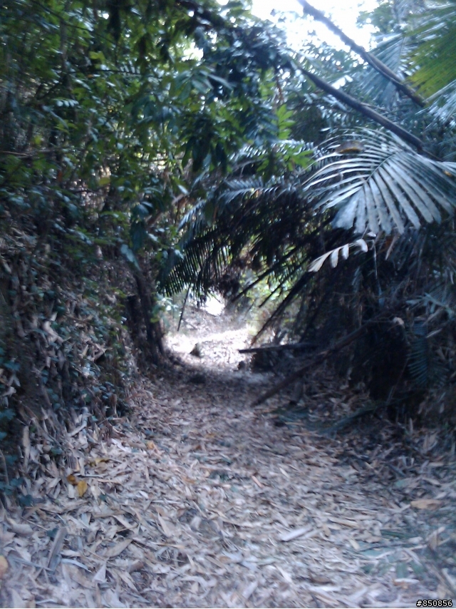 [分享]彰化的offroad路線現況