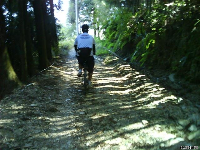OFF ROAD 卓社林道