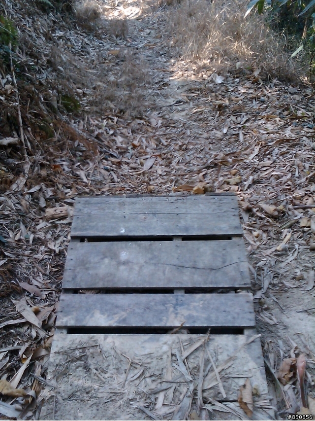 [分享]彰化的offroad路線現況