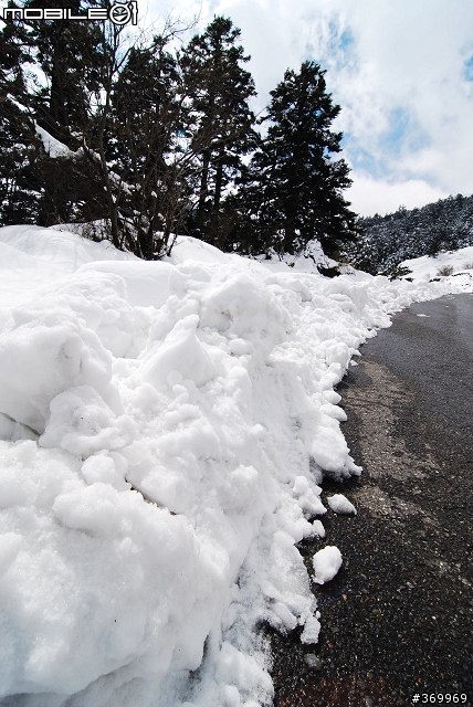 20100221 年少輕狂，合歡山賞雪之旅。(圖多、文多)