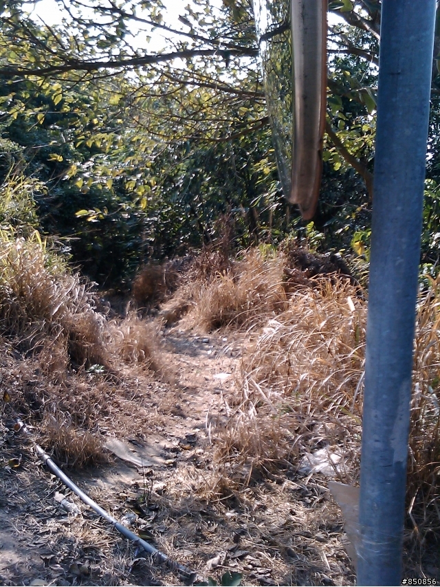 [分享]彰化的offroad路線現況