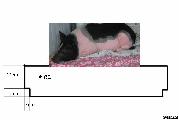 抱歉~發錯版!勿入