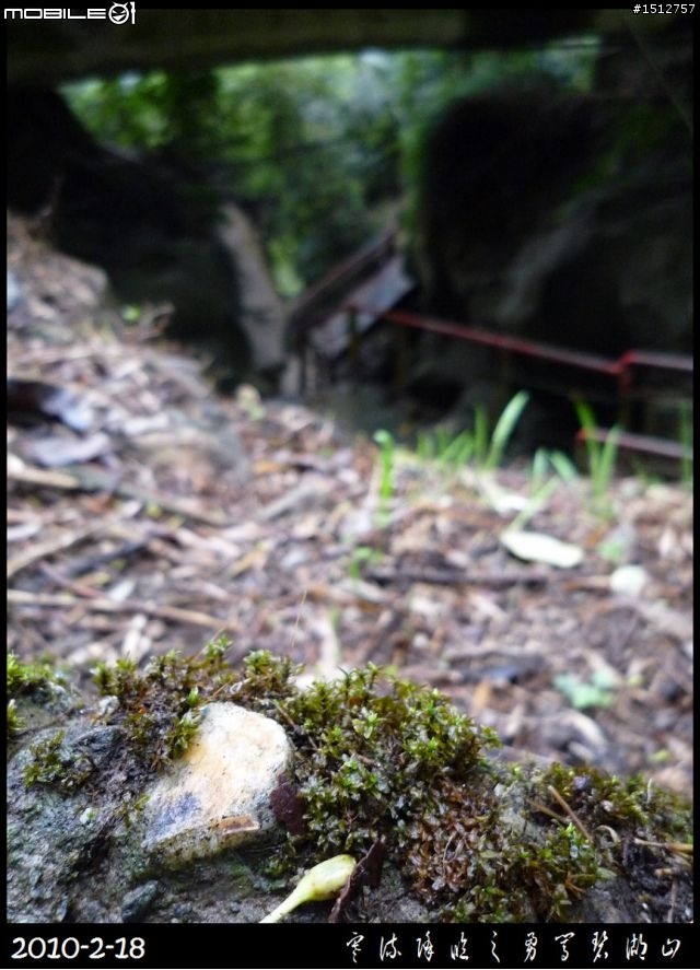 〝強烈推薦〞【雲霧繚繞之碧湖山】iN 『嘉義梅山』