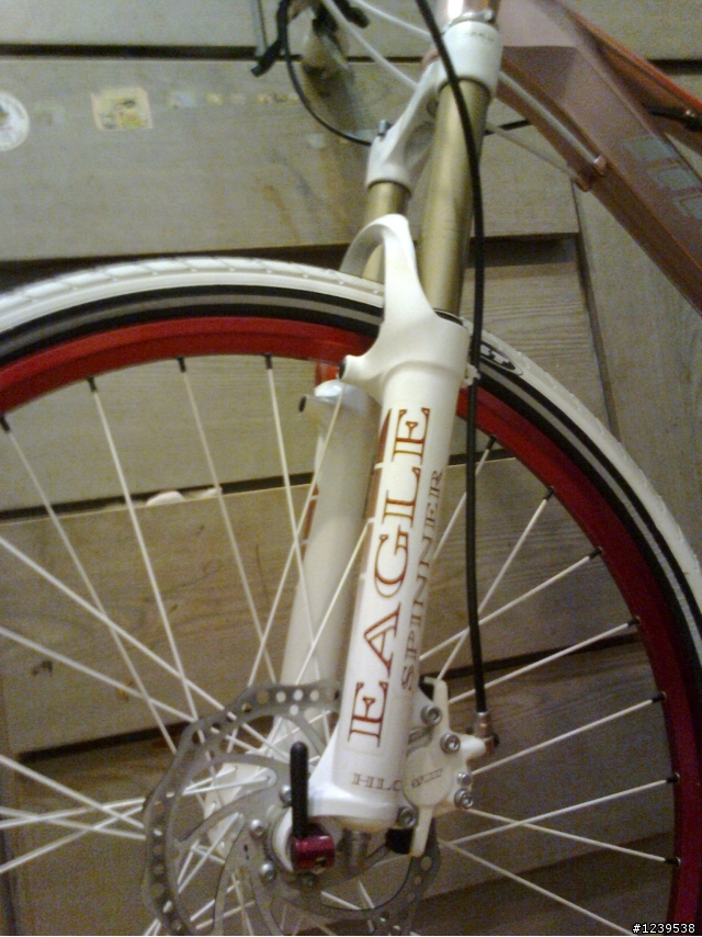登山車開箱文之初戀粉色系