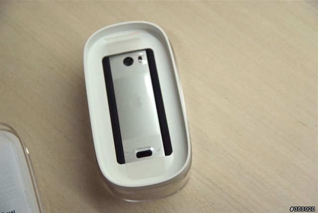 新加入的伙伴