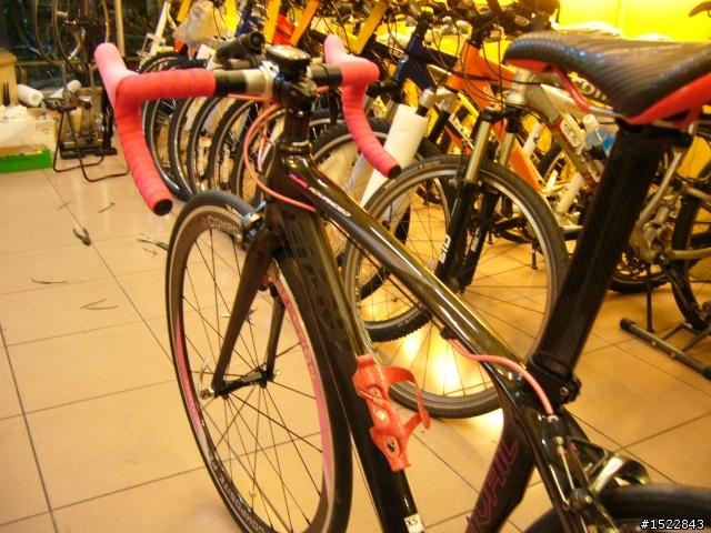 女王的第一台公路車2010 GIANT  AVAIL AD