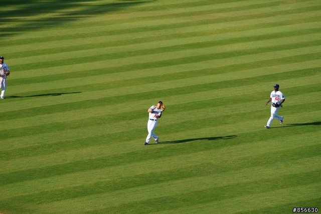2010 MLB台灣熱身賽@澄清湖棒球場(with a900)