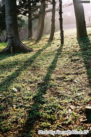[開箱] 慢慢來, Ricoh 35 ZF