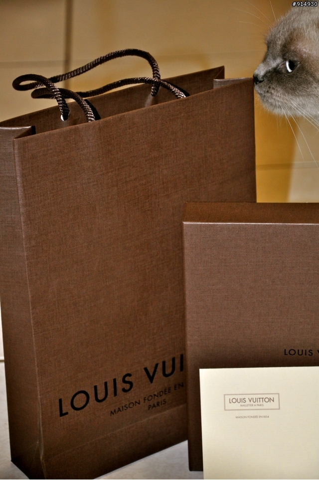 【開箱】LV M66540 wallet 長夾