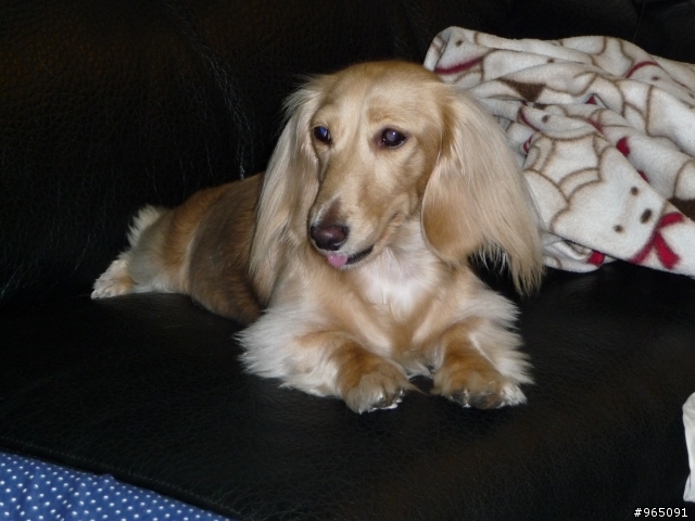 北海岸的 ~英雄好漢發奬狀~