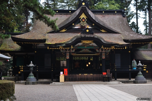 願望達成~東京自由行(圖、文多，慎入)