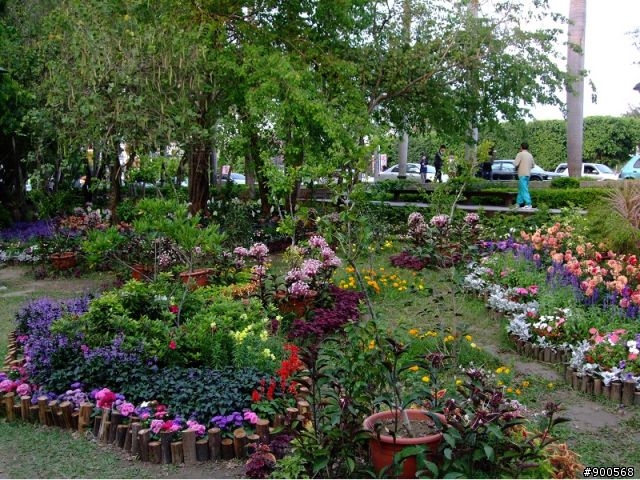 [2010]台南公園賞花去~