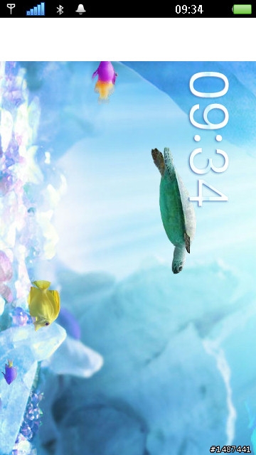 大家看今天的FLASH水族馆待机有海龟。。