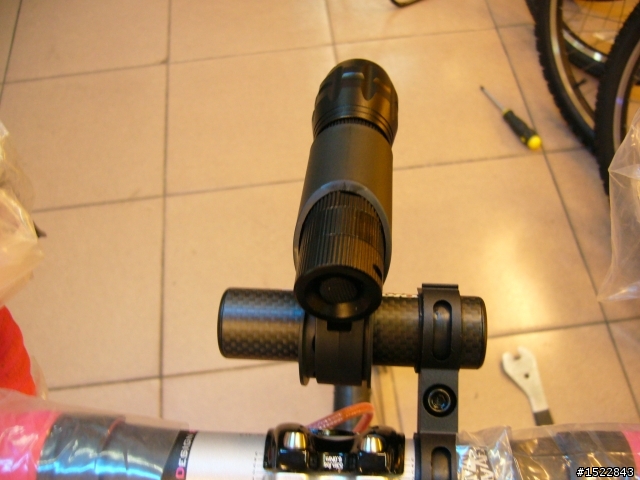 女王的第一台公路車2010 GIANT  AVAIL AD