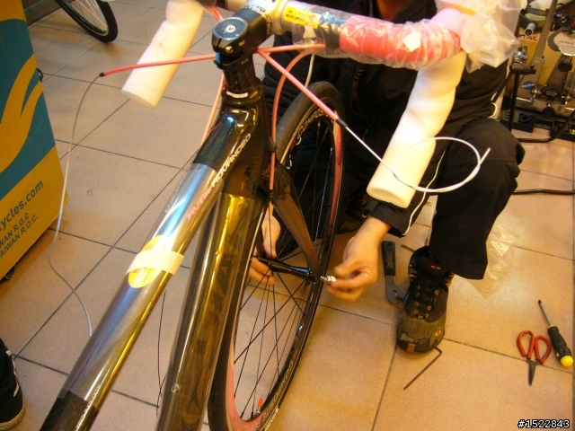 女王的第一台公路車2010 GIANT  AVAIL AD