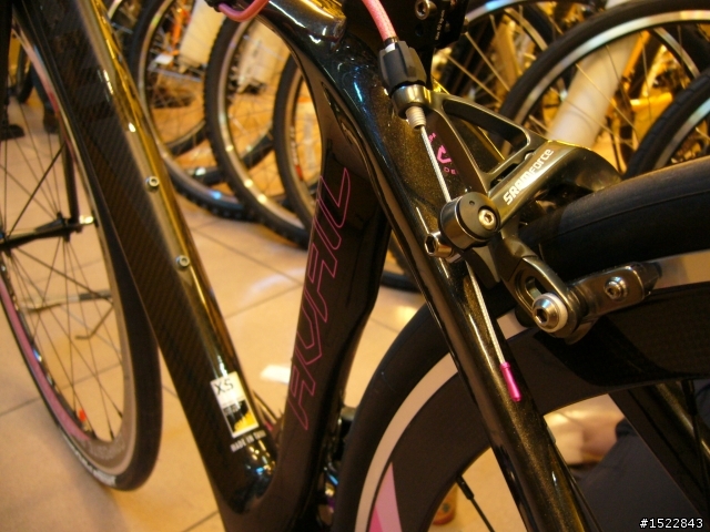 女王的第一台公路車2010 GIANT  AVAIL AD