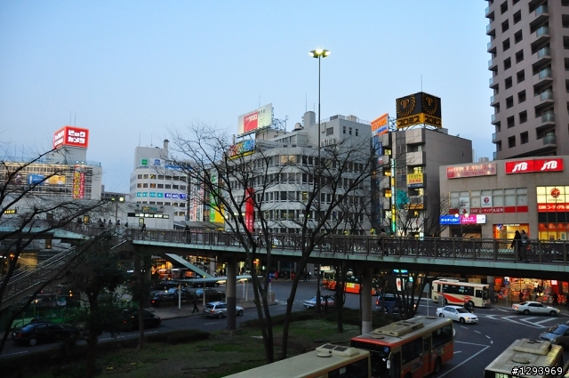 願望達成~東京自由行(圖、文多，慎入)