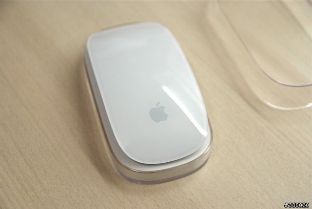 新加入的伙伴