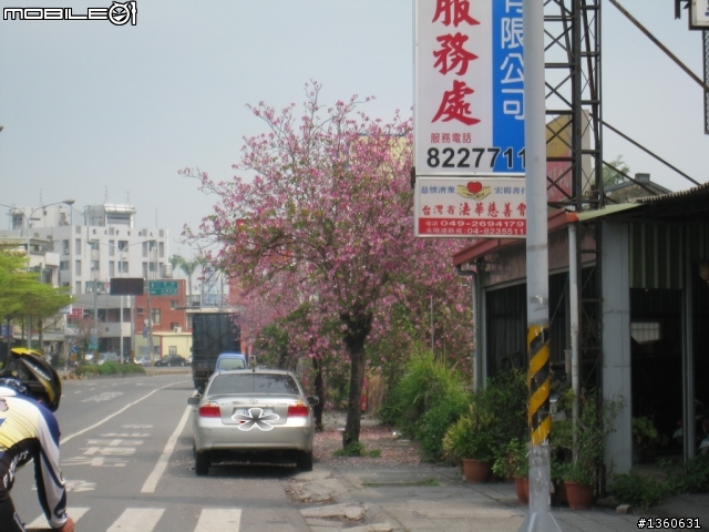 [分享]20100313萬人崇BIKE媽祖