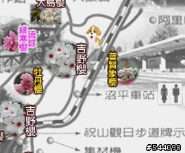 [求救]今天在阿里山賞櫻碰到一隻受傷嚴重的大狗狗