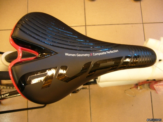 女王的第一台公路車2010 GIANT  AVAIL AD