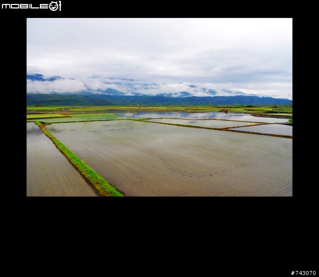 2010.02.12~02.20(9日環島)~冷.濕~圖多~D5--D9