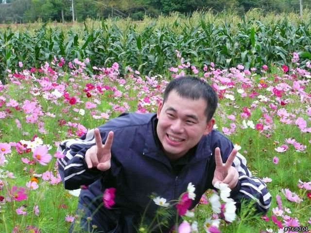 苗栗一日遊