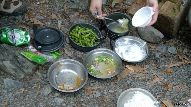 鎮西堡神木群B區之旅