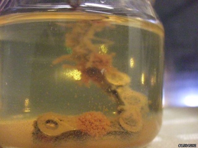 生猛海水浸泡抗鏽力實驗 終了