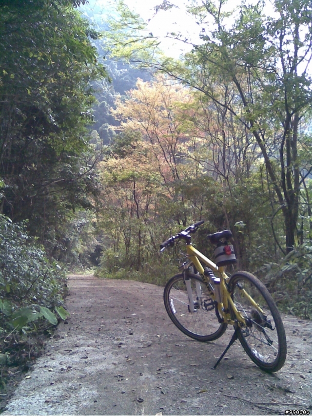 虎年首發-原路來回之爆累東眼山，初試Off Road~