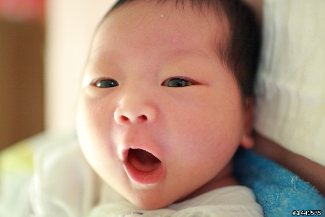 大家一起分享小baby的相片唷~