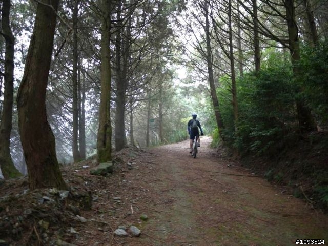 沙溪林道路不通,轉戰多納林道去!