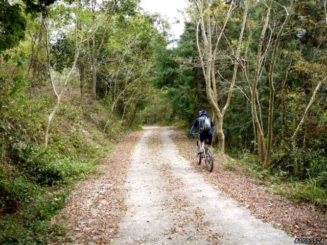 沙溪林道路不通,轉戰多納林道去!