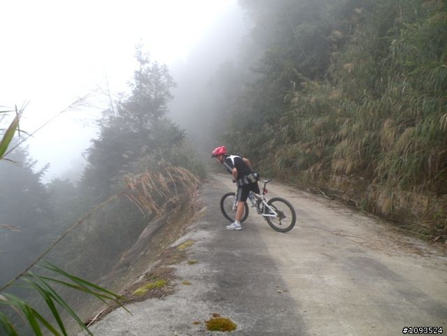 沙溪林道路不通,轉戰多納林道去!