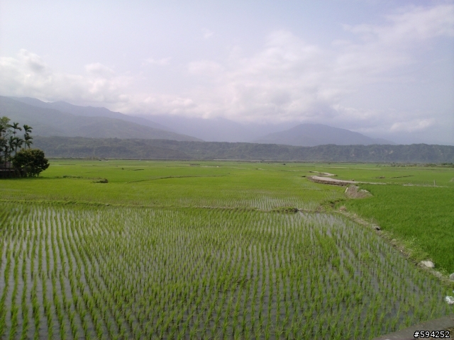 唉爸叫母鬼打牆之差點殘念的勇闖東海岸瘋200K(圖多文長請小心服用)