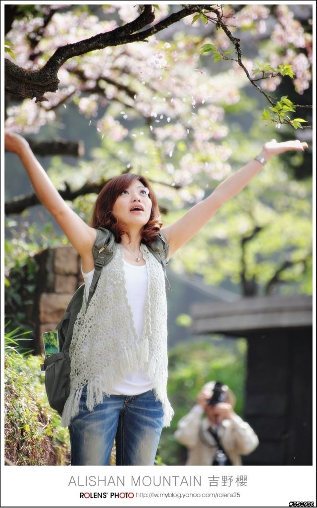 2010-03-22阿里山櫻花花況分享