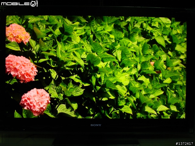 SONY BRAVIA 2010年LED背光新機種-美規KDL-46NX700 開箱