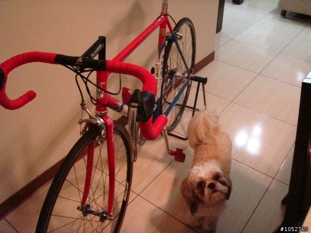 1992 EDDY MERCKX motorola MX Leader