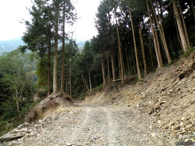 沙溪林道路不通,轉戰多納林道去!