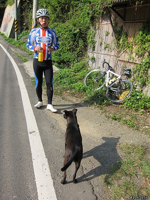 一日雙北低調行