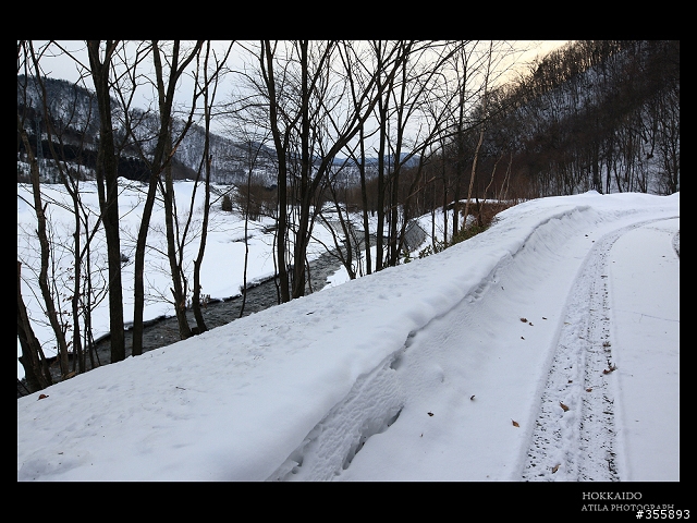 [5DII] 2010.HOKKAIDO.北海道.雪