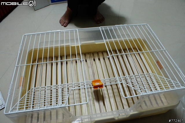 我家的霸道小兔兔"陳阿毛"的新家登場啦~~