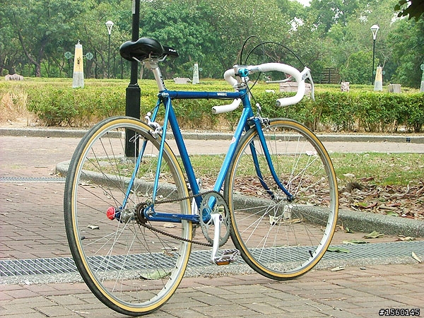 我的單速鋼管車