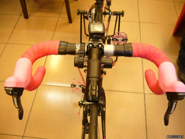 女王的第一台公路車2010 GIANT  AVAIL AD